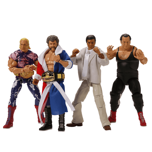 WWE Elite Collection Legends From the Territory Era 4-Figure Multipack